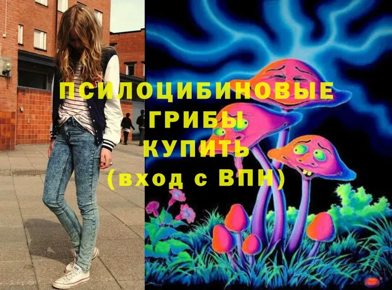 Псилоцибиновые грибы Psilocybe Правдинск